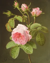 Una rama de rosas